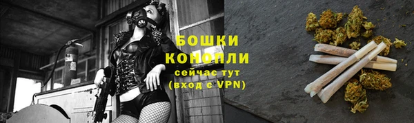 первитин Новозыбков