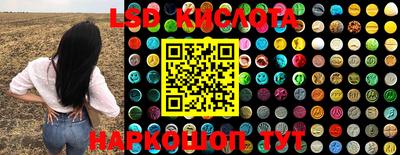 прущие грибы Абинск