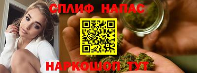 тгк Гай