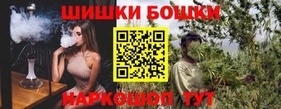 спайс Гагарин
