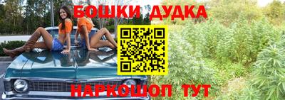 прущие грибы Абинск