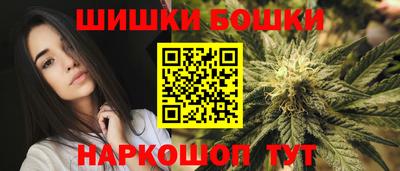 тгк Гай