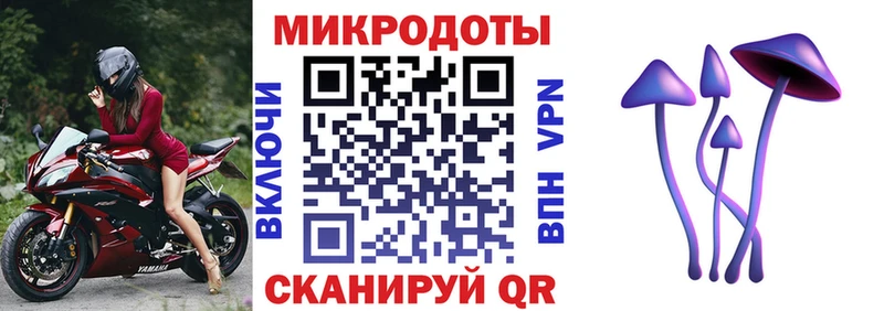 Псилоцибиновые грибы прущие грибы Усть-Лабинск