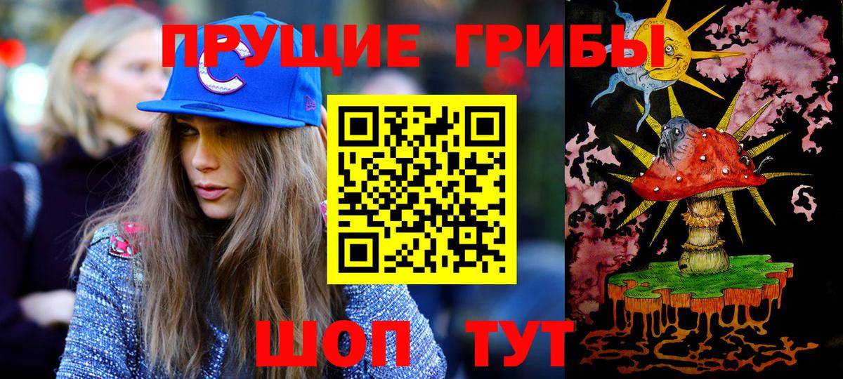 Псилоцибиновые грибы Cubensis Усть-Лабинск