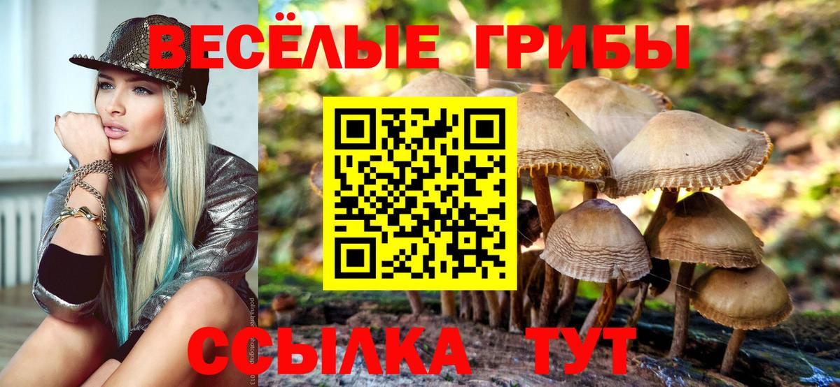 где купить наркоту  Псилоцибиновые грибы мухоморы  Вход с VPN  Усть-Лабинск 