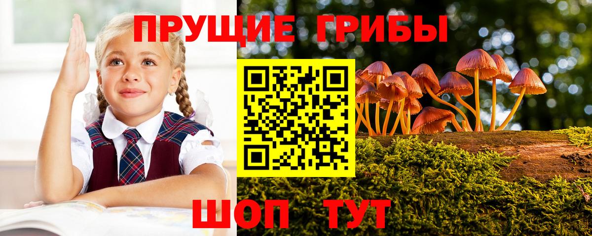 Галлюциногенные грибы MAGIC MUSHROOMS  Усть-Лабинск  Псилоцибиновые грибы Psilocybine cubensis 